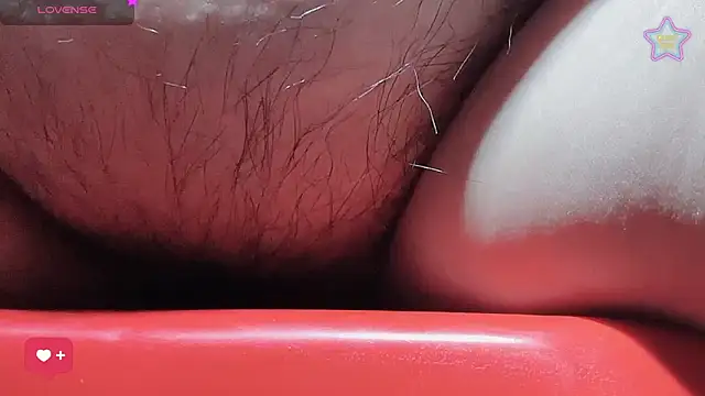 EX-886 online show from 04/21/26, 01:42