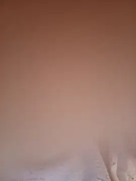 Carolinamascara online show from 04/18/26, 03:54