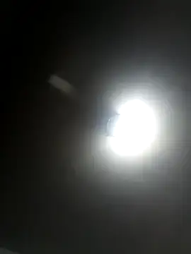 morenosex2676 online show from 04/22/26, 02:25