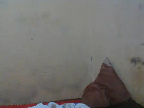 Rerpuss1 online show from 04/12/26, 08:25