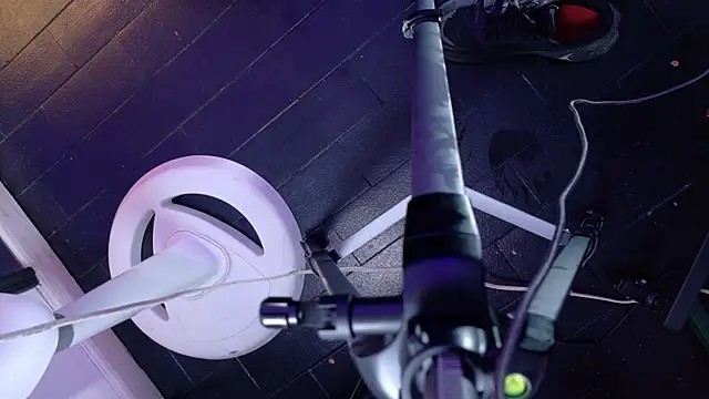 Damian nix online show from 04/17/26, 05:27