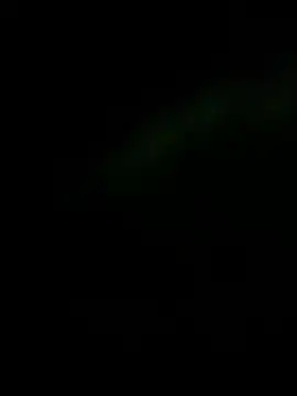 ZzyzyZ-009 online show from 05/25/26, 04:02