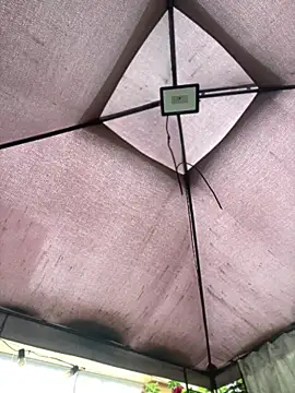 ZoeBennett Pink online show from 04/16/26, 09:39