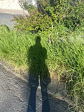 Cs-18 online show from 04/20/26, 06:42