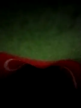 teluguabbai4567 online show from 04/21/26, 11:51