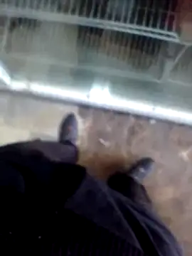 Userknowarg online show from 04/22/26, 04:08