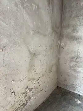 Rosa-x online show from 04/22/26, 06:49