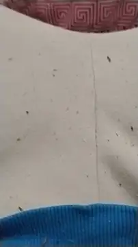 diego69caxondo online show from 04/22/26, 01:30