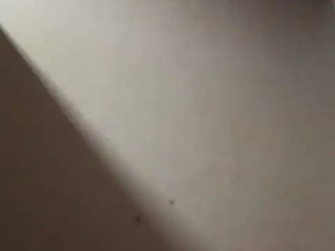 SL Uma online show from 04/19/26, 07:05