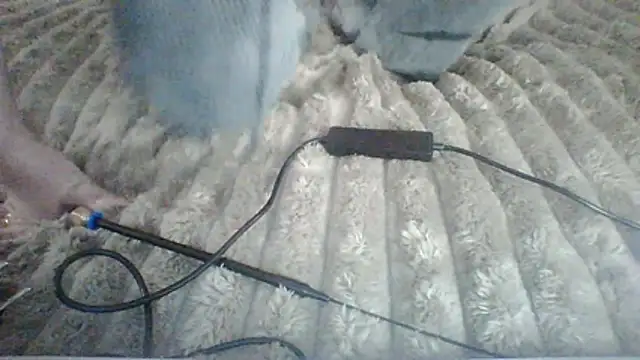 Lisanta online show from 07/12/26, 03:36