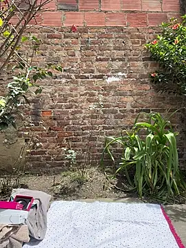 emily gv1 online show from 06/02/26, 05:15