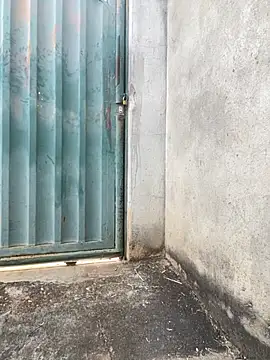 Showwspordezreais online show from 04/23/26, 05:26