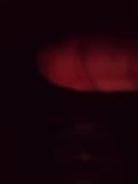 desibullboybd online show from 04/29/26, 06:25