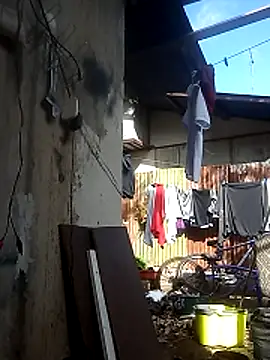 Ver-gudito online show from 04/25/26, 01:41