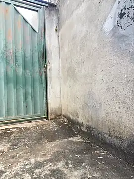 Eu line online show from 04/27/26, 11:30