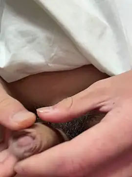 DD-101 online show from 04/29/26, 12:20