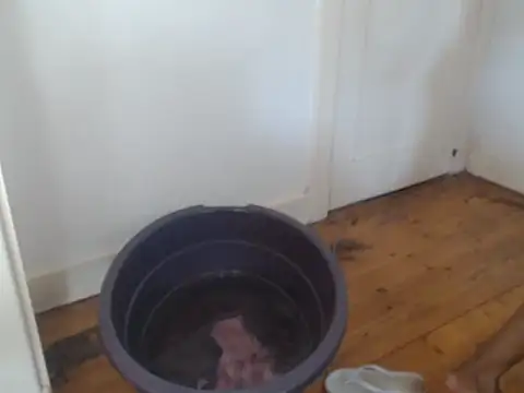 SweetCandyXoxo online show from 05/14/26, 10:33