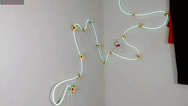 everlin 01 online show from 05/20/26, 07:09