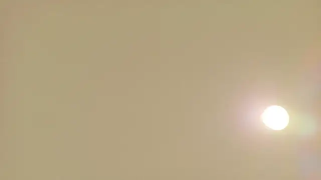 rena 1120 online show from 06/17/26, 12:29