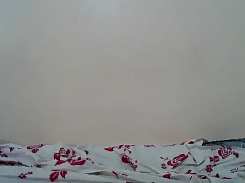 Hornysmoker20 online show from 07/07/26, 06:47