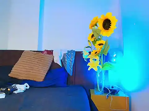 NoahStarks online show from 06/11/26, 01:09
