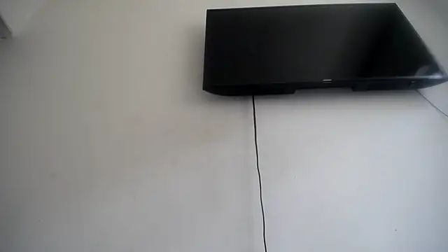 Fox Loves online show from 05/26/26, 04:03