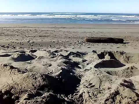 dog-naked online show from 01/22/25, 10:26