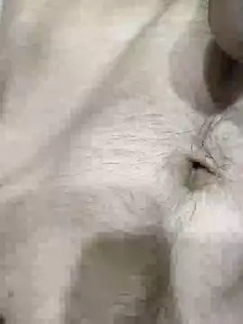 pussyedestroyer online show from 05/31/26, 02:09