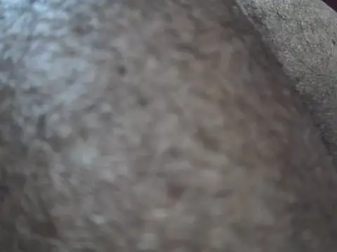 indiboy009 online show from 03/14/25, 10:49