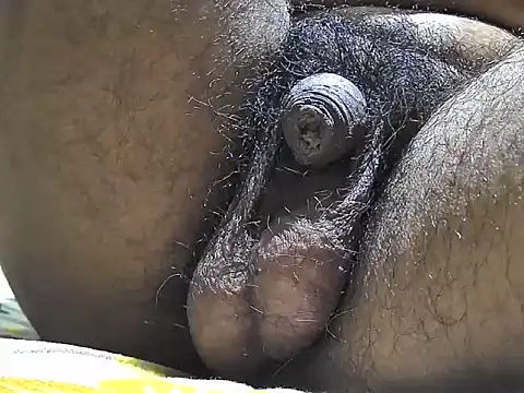 indiboy009 online show from 09/17/25, 06:31