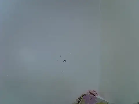 velvet luxe online show from 06/28/26, 04:24