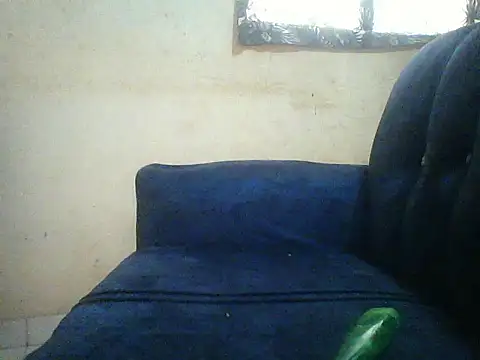 Snapshot of HomeBully chatting on 07/08/26, 12:09 HomeBully online show from 07/08/26, 12:09