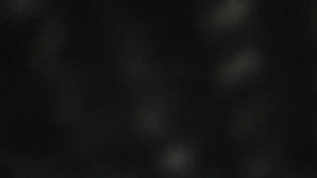 saullll     online show from 08/10/26, 05:11