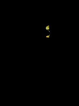Snapshot of lambakooli chatting on 06/13/26, 07:56 lambakooli online show from 06/13/26, 07:56