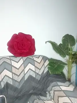 Cupid Mayra online show from 08/05/26, 03:04