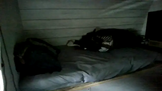 Snapshot of ThisGuy42o chatting on 07/05/26, 04:25 ThisGuy42o online show from 07/05/26, 04:25