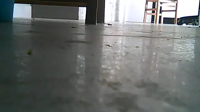 Snapshot of SirFrankonde chatting on 08/01/26, 12:48 SirFrankonde online show from 08/01/26, 12:48