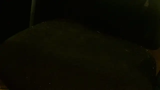 MagicCockMan online show from 06/20/26, 03:20