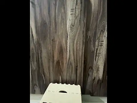 SatBull007 online show from 11/23/25, 07:52