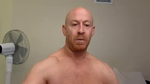 Snapshot of brotein369 chatting on 02/17/26, 08:37 brotein369 online show from 02/17/26, 08:37