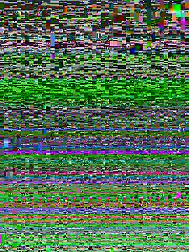 midog2026 online show from 08/01/26, 07:51