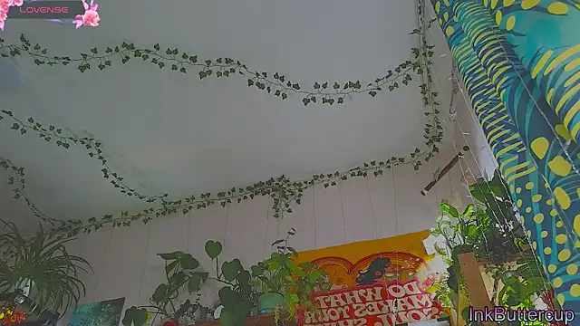 Dead Butterfly online show from 09/18/25, 03:08