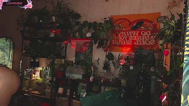 Dead Butterfly online show from 11/01/25, 03:08