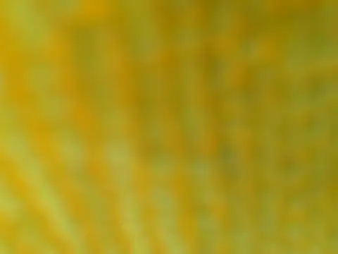 OGXXXOG online show from 03/16/25, 07:17