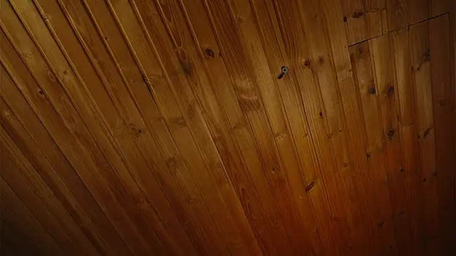 coraline latin online show from 09/25/25, 07:39