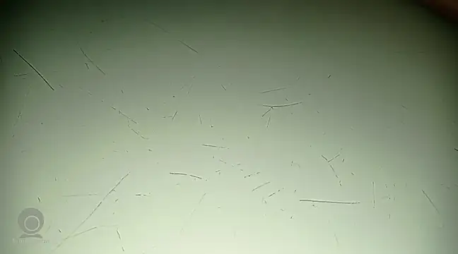 Just for trans online show from 02/21/25, 03:10