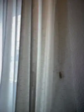 Snapshot of Chic_desire chatting on 03/20/26, 10:09 Chic desire online show from 03/20/26, 10:09
