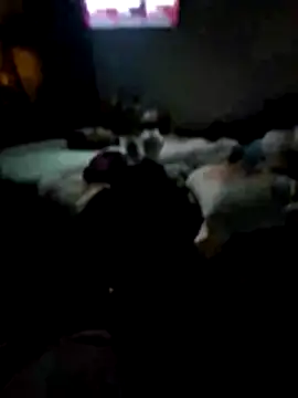 juliopantoja online show from 02/15/26, 05:04