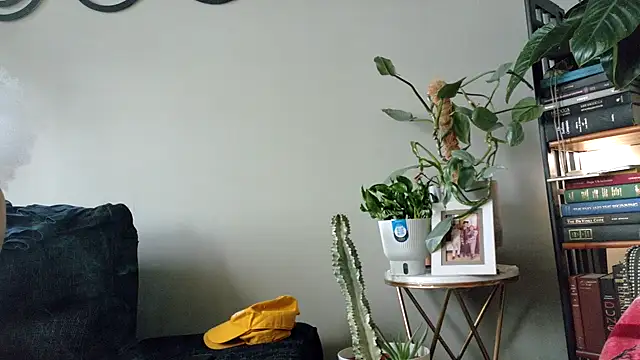 bestofdoseswirls online show from 04/08/26, 06:30