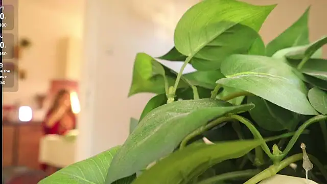 Kishaxxx online show from 03/06/25, 02:08